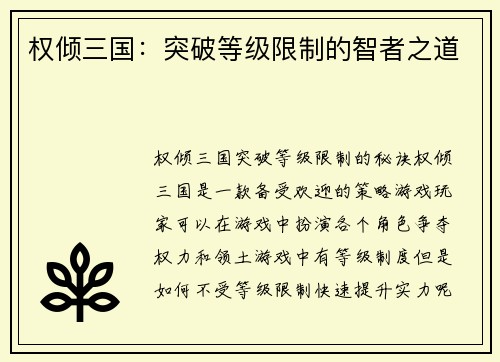 权倾三国：突破等级限制的智者之道